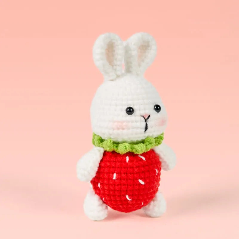 Handmade Strawberry Dress Bunny Crochet