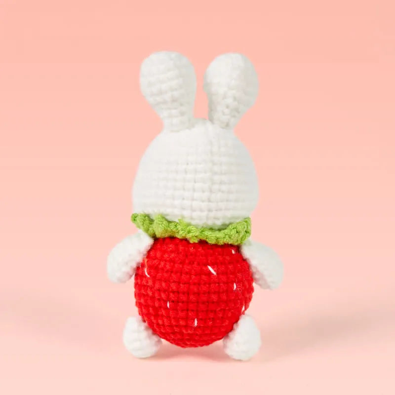 Handmade Strawberry Dress Bunny Crochet