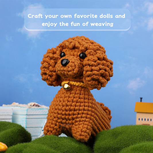 Teddy Bear Crochet DIY Material Kit
